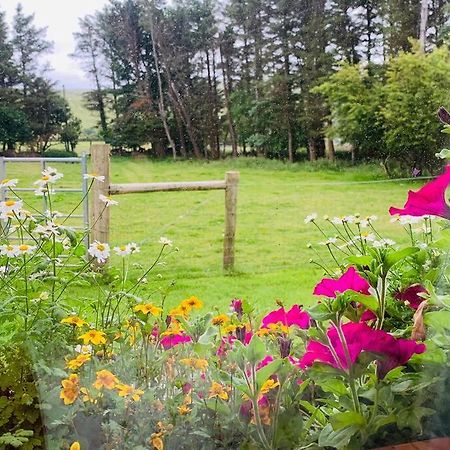 Glen Keen Farm Cottage 루이즈버그 외부 사진