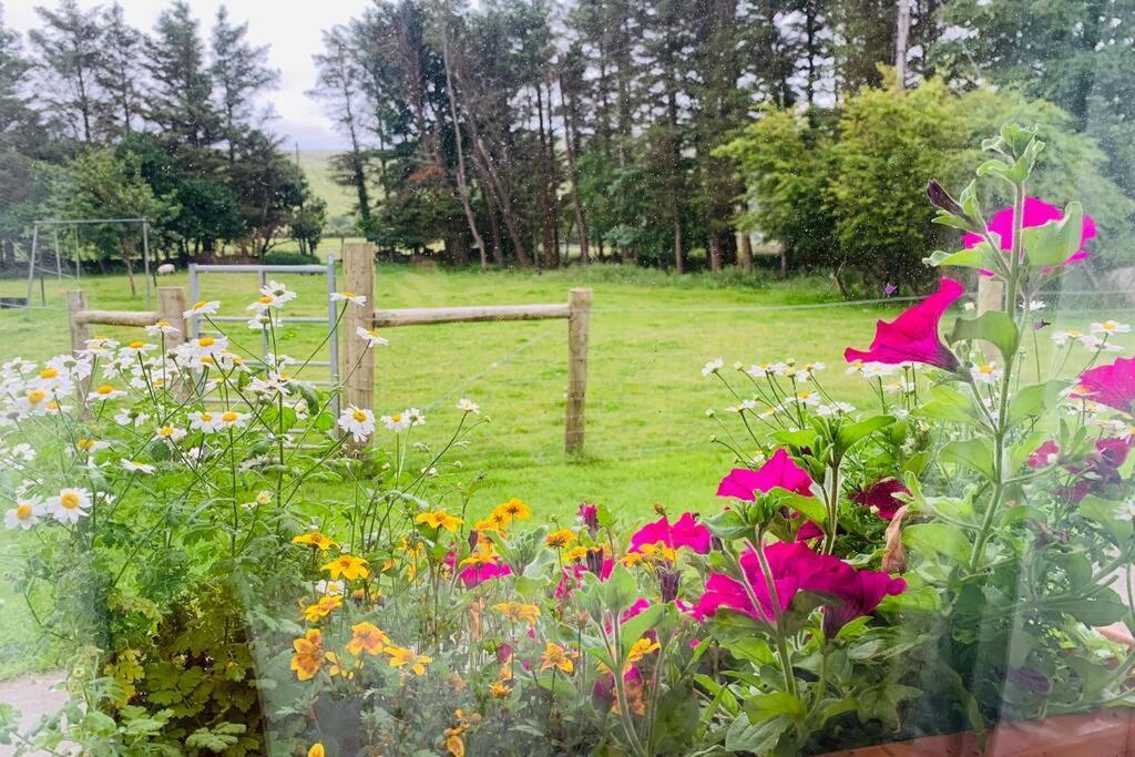 Glen Keen Farm Cottage 루이즈버그 외부 사진